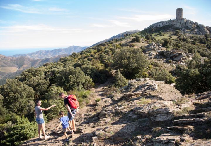Chateau d'Ortaffa - Les abères